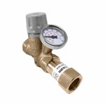ThermoSetterAdjustable Thermal Balancing Valve 1/2 in FNPT ,