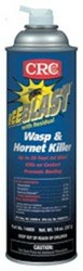 14009 Bee Blast With Residual Wasp and Hornet Killer 20 oz Aerosol ,