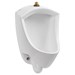 Pintbrook&amp;#174; Urinal System With Touchless Selectronic&amp;#174; Piston Flush Valve, 0.5 gpf/1.9 Lpf - A6002505020