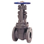 F617-0 NLF 2-1/2 OS&amp;Y Class 125 Flanged Gate Valve ,