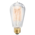 4071CLR 60W Antique Light Bulb Incandescent Clear ,4071CLR,783927370226