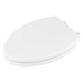 Transitional Slow-Close &amp;amp; Easy Lift-Off Elongated Toilet Seat - A5024A65G020