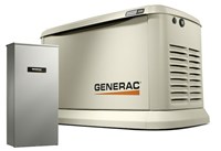 7291 26 LP KW Air-Cooled Standby Generator Aluminum Enclosure 200 SE ATS (Not CUL ,7291