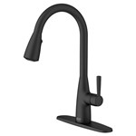 Hillsdale™ Single-Handle Pull-Down Dual Spray Kitchen Faucet ,012611848087