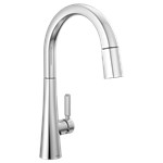 Delta Monrovia™: Single Handle Pull-Down Kitchen Faucet ,9191-PR-DST,9191PRDST,