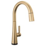 Delta Monrovia™: Single Handle Pull-Down Kitchen Faucet With Touch2O Technology ,