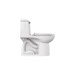 Champion&amp;#174; 4 One-Piece 1.6 gpf/6.0 Lpf Chair Height Elongated Toilet With Seat - A2034314020