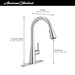 Hillsdale™ Single-Handle Pull-Down Dual Spray Kitchen Faucet - A7617300243