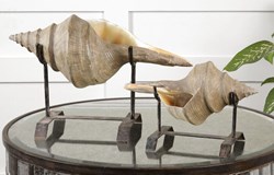 19557 Conch Shell Sculpture Set/2 ,19556