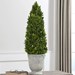 60111 Uttermost Boxwood Cone Topiary - UTT60111