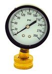 2-1/2&quot; Water Test Pressure Gauge 300 lb (FHT) ,1430,WG300,J66300,WTG300,25044255,WTG,G0300,6020,1721002