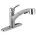 Delta Collins™: Single Handle Pull-Out Kitchen Faucet - DEL4140DST