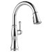 Delta Cassidy™: Single Handle Pulldown Kitchen Faucet - DEL9197PRDST