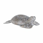 7159-045 Galapagos Turtle White Washed Albasia Wood ,