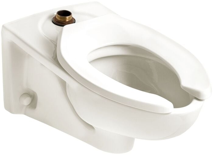 Elongated Toilet Bowl Only In White 