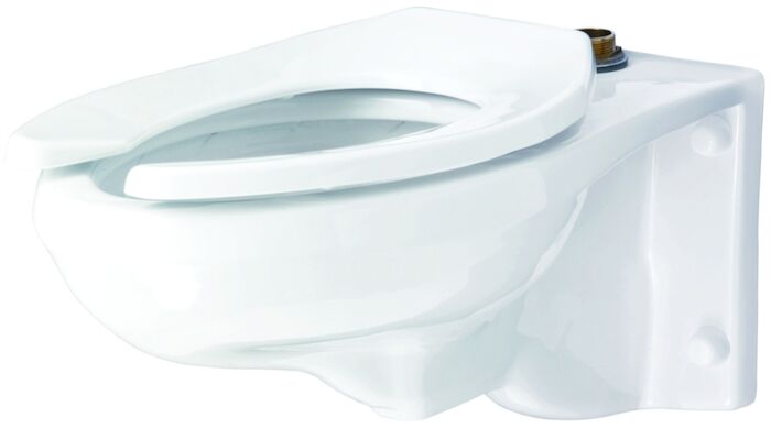 G0025033  North Point ADA White 5-1/4 in Elongated Wall Toilet Bowl 