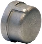 1 in 304 Stainless Steel Cap Threaded ,06961378,SSHG