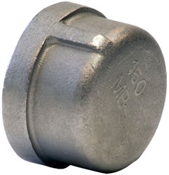 1 304 Stainless Steel Cap Threaded ,06961378,SSHG
