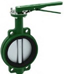 PV02L2044352 2 in 200 Ductile Iron Lug Butterfly Valve With Lever Handle ,