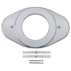 Delta Other: Shower Renovation Cover Plate ,