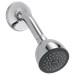 Delta Universal Showering Components: Fundamentals™ Single-Setting Shower Head - DELRP38357