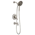 Delta Linden™: Monitor&#174; 17 Series Tub and Shower Trim with In2ition&#174; Two-in-One Shower ,