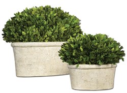 60108  Oval Domes Preserved Boxwood Set/2 ,60107