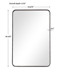 MIRROR ,