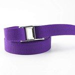 1846512 1 X 12 Cam Strap--purple CATWAL,1846512,73028418674,JONS20105