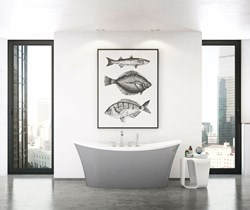 106267-000-006 Maax Ariosa 66 in X 36 in Freestanding Bathtub With Center Dra in Sterling Silver ,