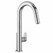 4931380002 AS Beale ADA Pol Chrome LF 1 Hole 1 Handle Kitchen Faucet Pull Down - A4931380002