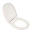 Telescoping Slow-Close &amp;amp; Easy Lift-Off Round Front Toilet Seat - A5025B65G020
